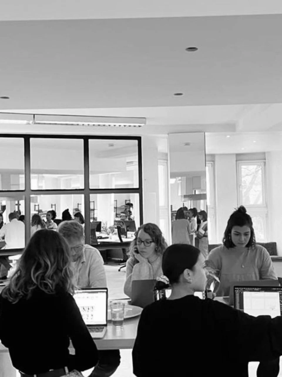 The team at work in the office